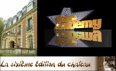 Le Best off de the Story of the star académy