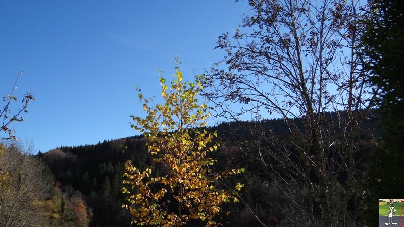 Les 4 Saisons de "Mon Jura" - Page 6 2014-11-11_soleil_01