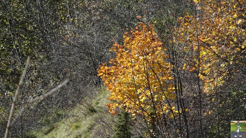Les 4 Saisons de "Mon Jura" - Page 6 2014-11-11_soleil_04