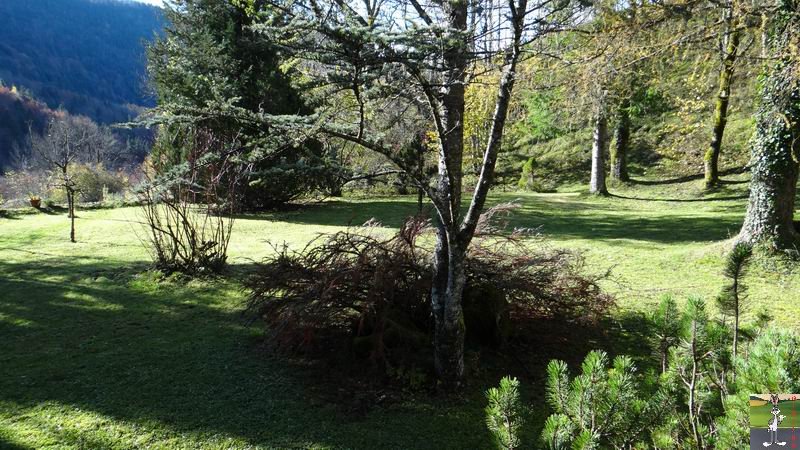 Les 4 Saisons de "Mon Jura" - Page 6 2014-11-11_soleil_09