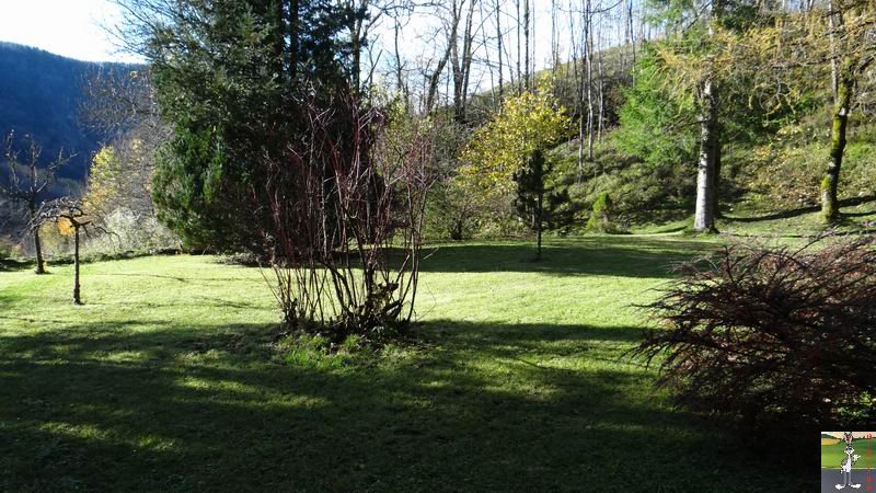 Les 4 Saisons de "Mon Jura" - Page 6 2014-11-11_soleil_10