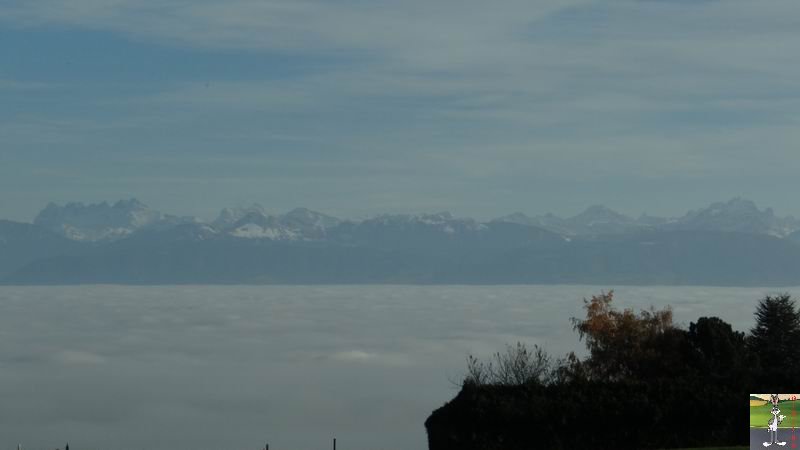 Les 4 Saisons de "Mon Jura" - Page 6 2014-11-22_haute_savoie_suisse_14