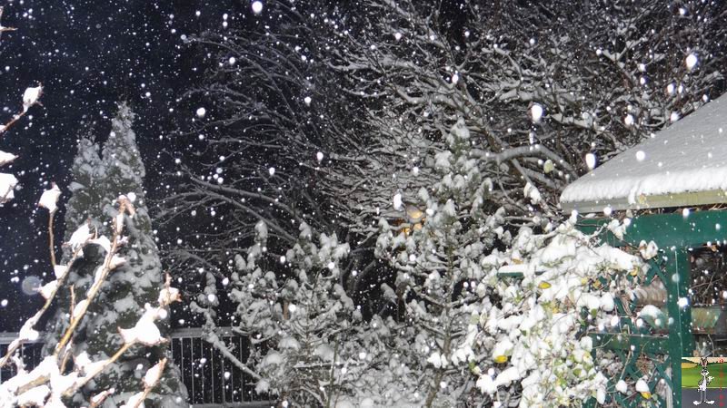 Les 4 Saisons de "Mon Jura" - Page 6 2014-12-08_neige_04