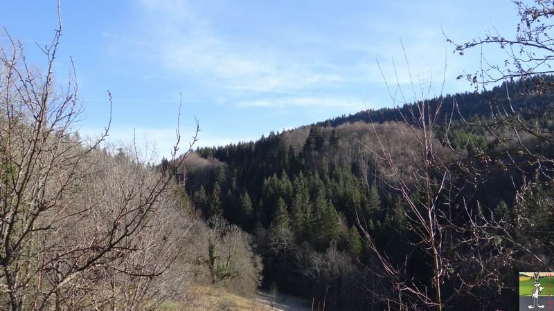 Les 4 Saisons de "Mon Jura" - Page 6 2014-12-21_soleil_05