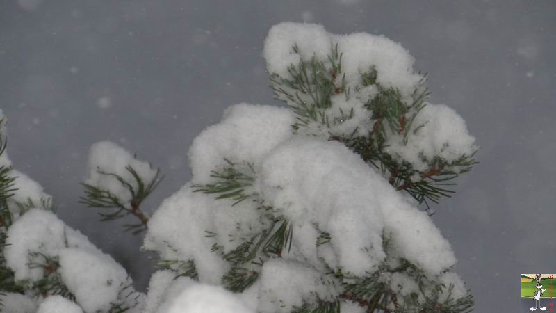 Les 4 Saisons de "Mon Jura" - Page 6 2014-12-27_neige_03
