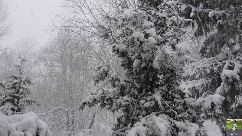 Les 4 Saisons de "Mon Jura" - Page 6 2014-12-27_neige_12