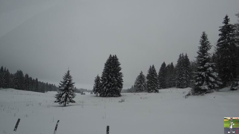 Les 4 Saisons de "Mon Jura" - Page 6 2014-12-28_neige_11