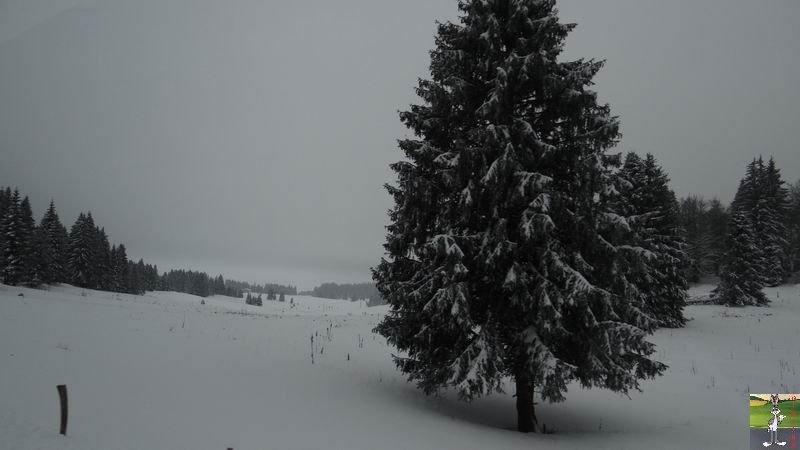 Les 4 Saisons de "Mon Jura" - Page 6 2014-12-28_neige_12