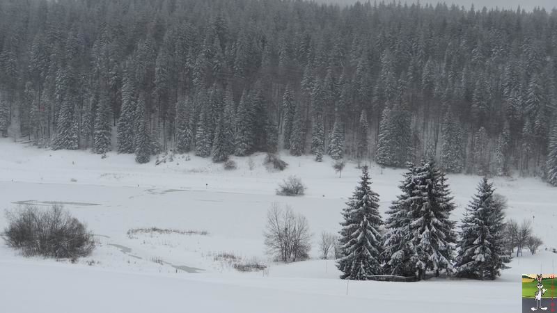 Les 4 Saisons de "Mon Jura" - Page 6 2014-12-28_neige_16