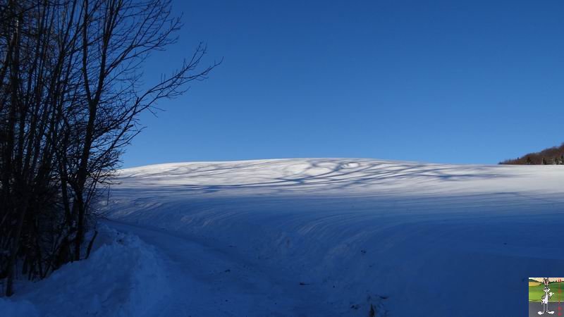 Les 4 Saisons de "Mon Jura" - Page 6 2014-12-29_neige_soleil_05