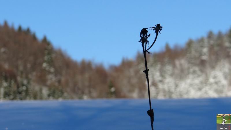Les 4 Saisons de "Mon Jura" - Page 6 2014-12-29_neige_soleil_08