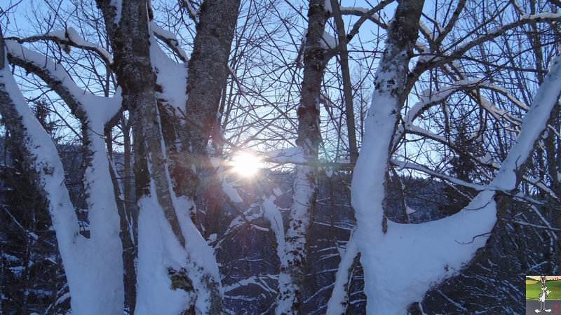 Les 4 Saisons de "Mon Jura" - Page 6 2014-12-29_neige_soleil_10