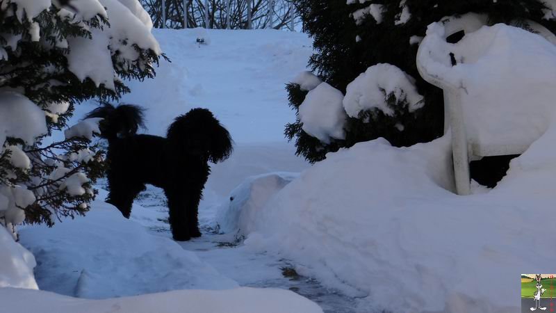 Les 4 Saisons de "Mon Jura" - Page 6 2014-12-29_neige_soleil_13