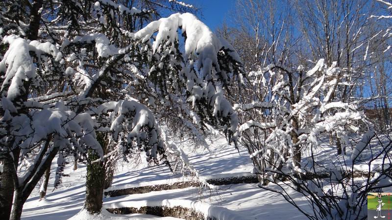 Les 4 Saisons de "Mon Jura" - Page 6 2014-12-29_neige_soleil_15