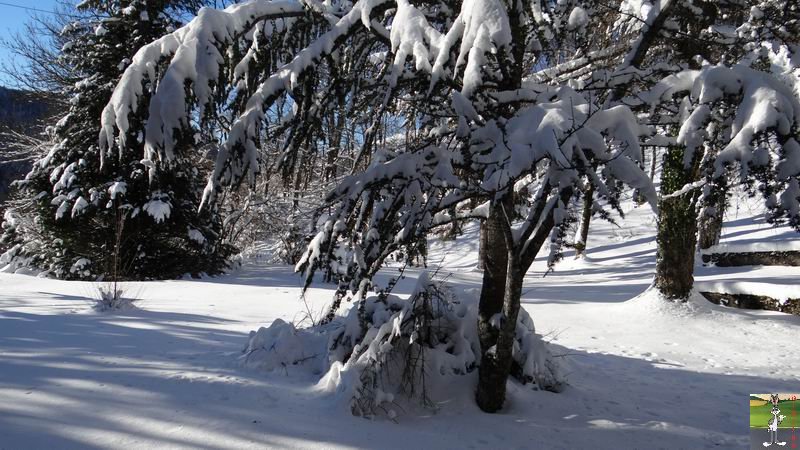 Les 4 Saisons de "Mon Jura" - Page 6 2014-12-29_neige_soleil_16
