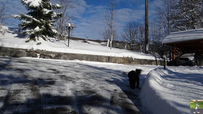 Les 4 Saisons de "Mon Jura" - Page 6 2014-12-30_neige_soleil_01