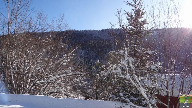 Les 4 Saisons de "Mon Jura" - Page 6 2014-12-30_neige_soleil_03