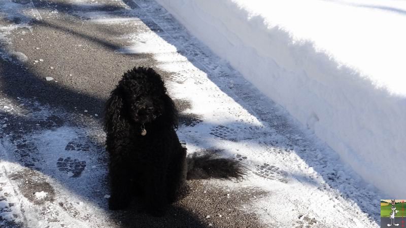 Les 4 Saisons de "Mon Jura" - Page 6 2014-12-30_neige_soleil_05