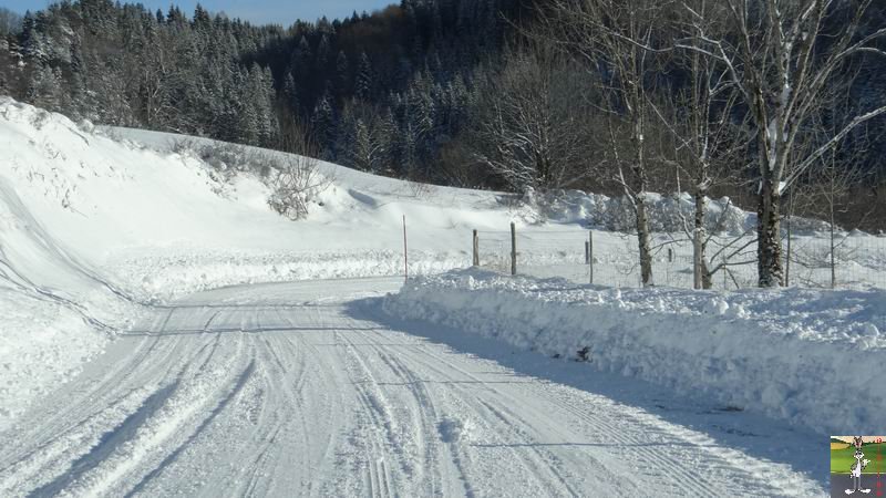 Les 4 Saisons de "Mon Jura" - Page 6 2014-12-30_neige_soleil_06