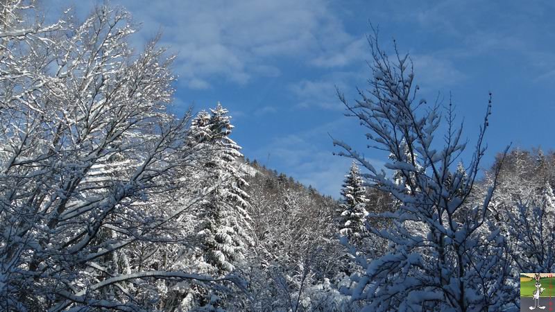 Les 4 Saisons de "Mon Jura" - Page 6 2014-12-30_neige_soleil_09