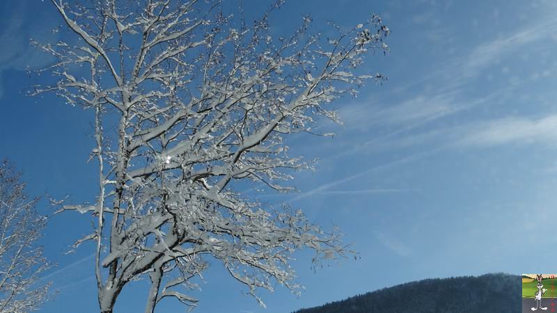 Les 4 Saisons de "Mon Jura" - Page 6 2014-12-30_neige_soleil_11