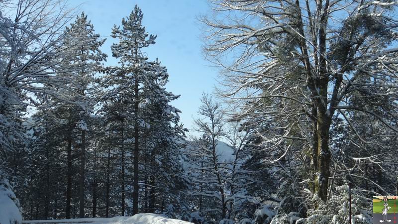 Les 4 Saisons de "Mon Jura" - Page 6 2014-12-30_neige_soleil_13