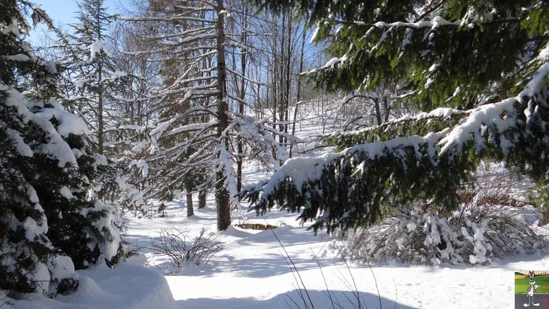 Les 4 Saisons de "Mon Jura" - Page 6 2014-12-31_neige_soleil_02