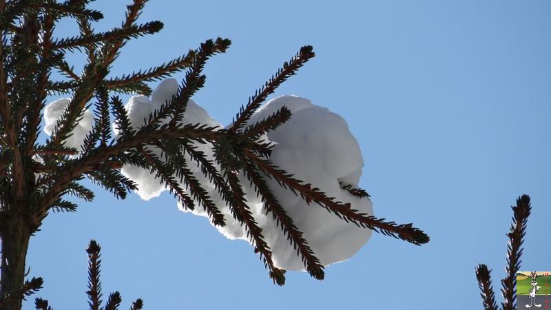Les 4 Saisons de "Mon Jura" - Page 6 2014-12-31_neige_soleil_04