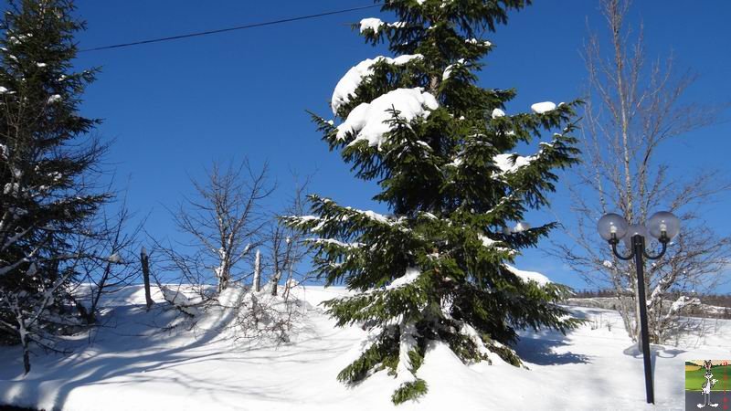 Les 4 Saisons de "Mon Jura" - Page 6 2014-12-31_neige_soleil_07