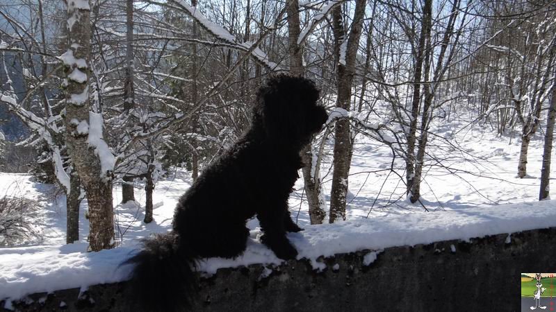 Les 4 Saisons de "Mon Jura" - Page 6 2014-12-31_neige_soleil_10