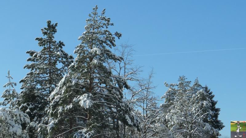 Les 4 Saisons de "Mon Jura" - Page 6 2014-12-31_neige_soleil_23