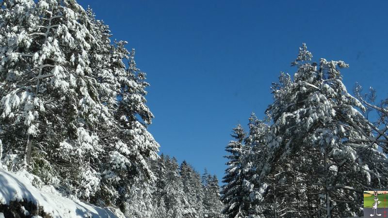 Les 4 Saisons de "Mon Jura" - Page 6 2014-12-31_neige_soleil_24