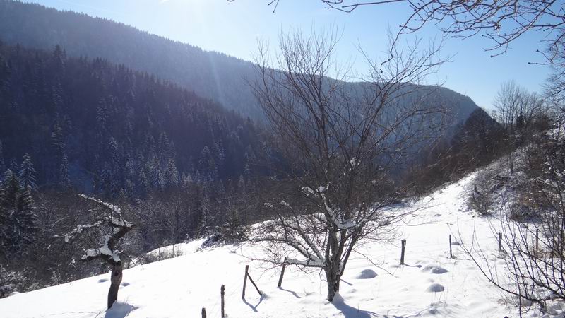 Les 4 Saisons de "Mon Jura" - Page 6 2015-01-01_neige_soleil_01