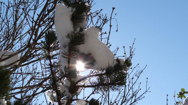 Les 4 Saisons de "Mon Jura" - Page 6 2015-01-01_neige_soleil_04