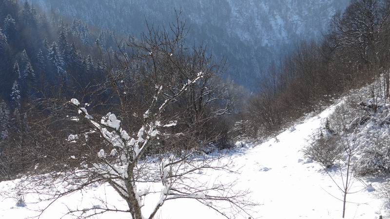 Les 4 Saisons de "Mon Jura" - Page 6 2015-01-01_neige_soleil_06