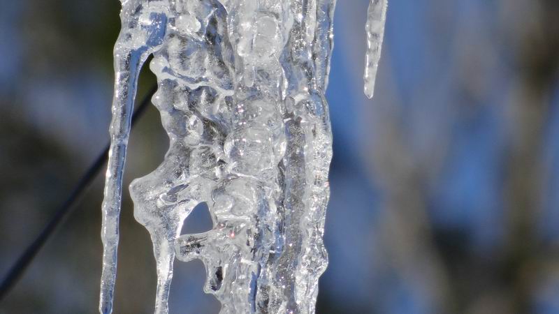 Les 4 Saisons de "Mon Jura" - Page 6 2015-01-01_neige_soleil_08