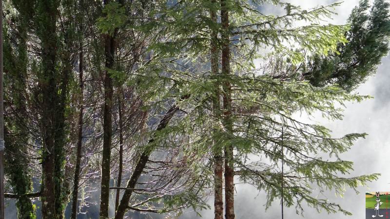 Les 4 Saisons de "Mon Jura" - Page 6 2015-01-04_neige_soleil_05