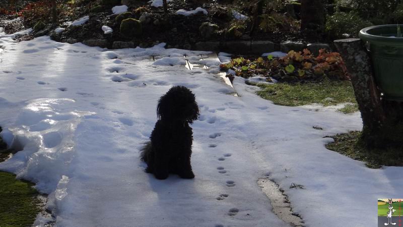 Les 4 Saisons de "Mon Jura" - Page 6 2015-01-04_neige_soleil_07