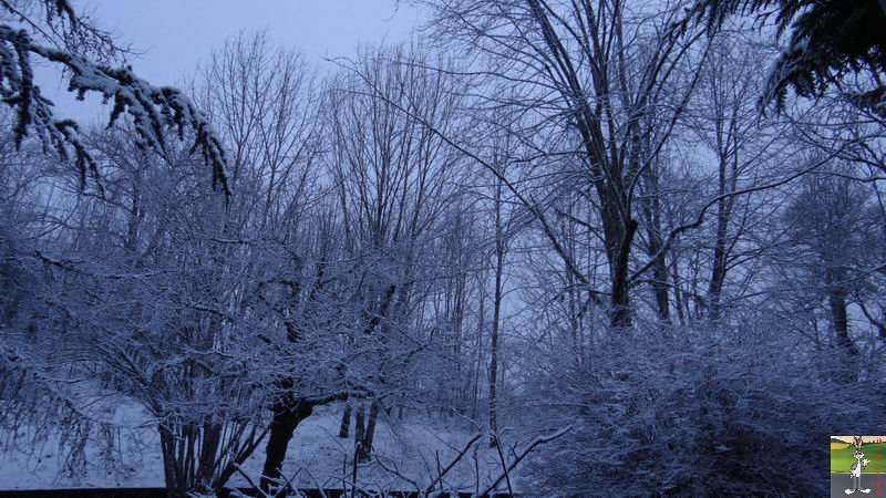 Les 4 Saisons de "Mon Jura" - Page 6 2015-01-11_neige_04