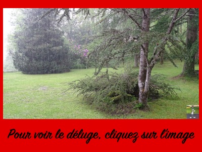 2018-05-20 : Le temps se grise à La Mainmorte (39) 2018-05-20_deluge_01