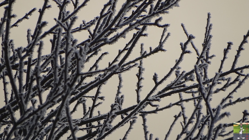 Les 4 Saisons de "Mon Jura" - Page 15 2018-12-15_soleil_brouillard_froid_02