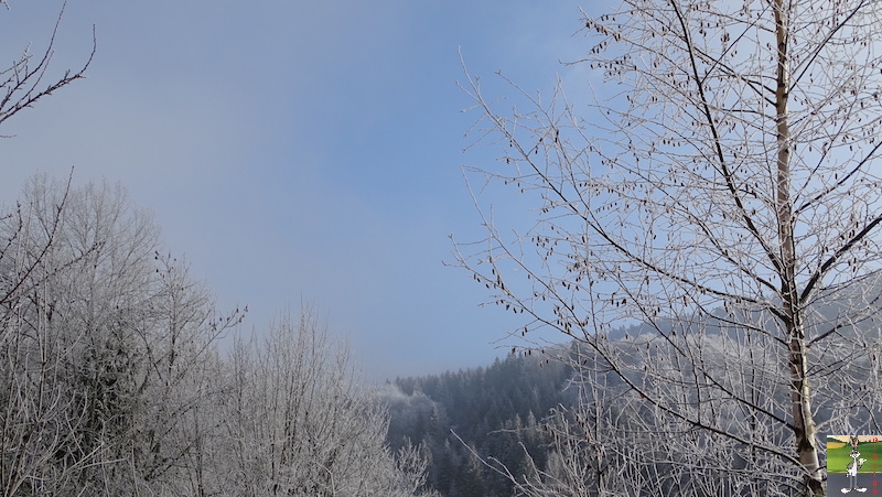 Les 4 Saisons de "Mon Jura" - Page 15 2018-12-15_soleil_brouillard_froid_04