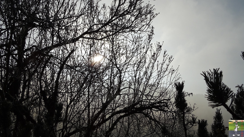Les 4 Saisons de "Mon Jura" - Page 15 2018-12-15_soleil_brouillard_froid_05