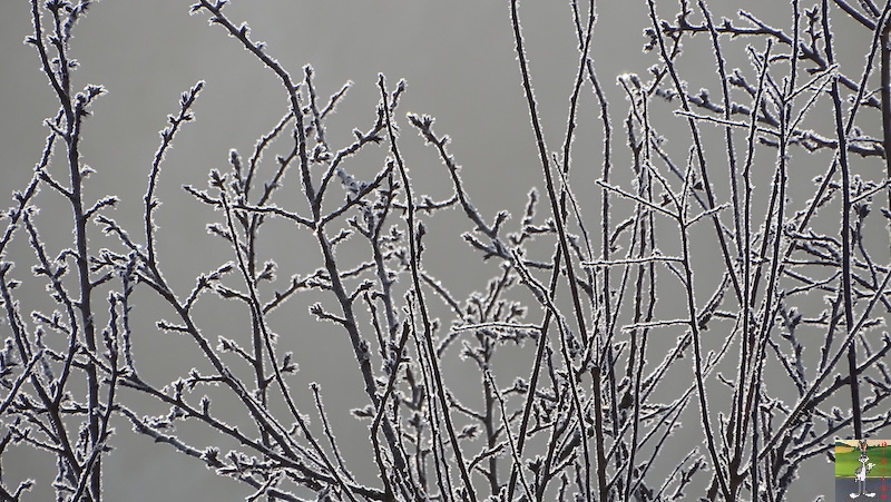 Les 4 Saisons de "Mon Jura" - Page 15 2018-12-15_soleil_brouillard_froid_11