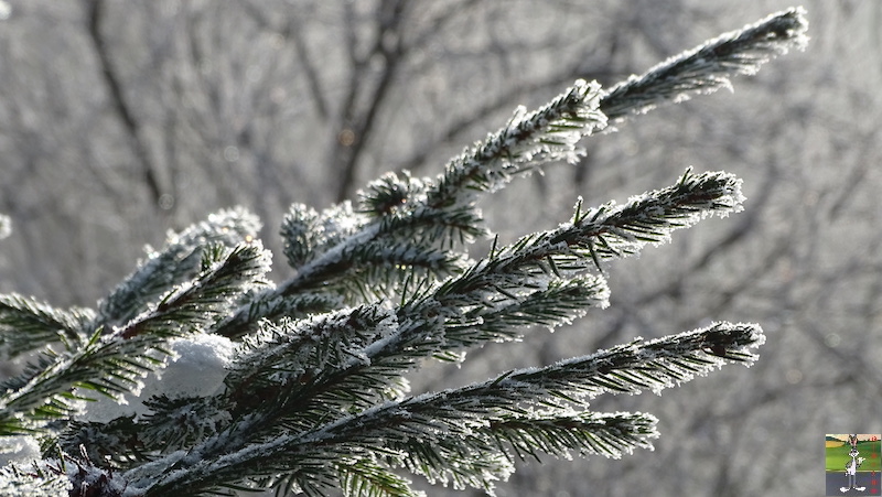 Les 4 Saisons de "Mon Jura" - Page 15 2018-12-15_soleil_brouillard_froid_12
