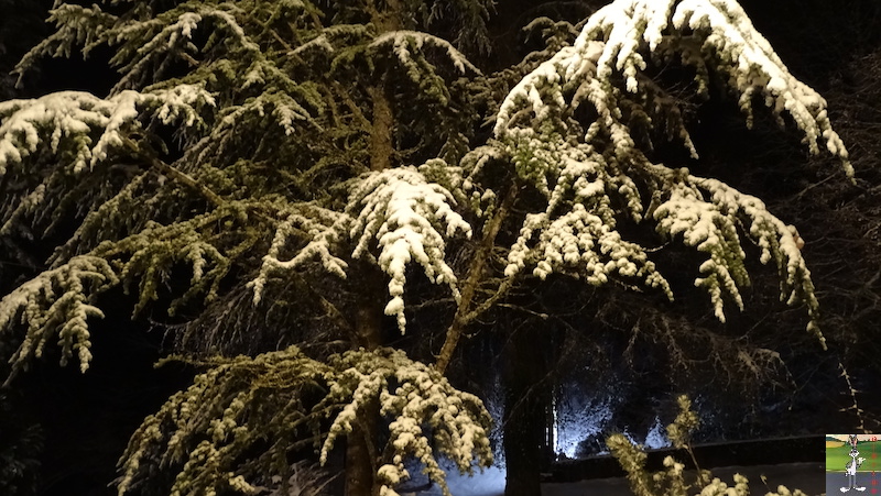 Les 4 Saisons de "Mon Jura" - Page 15 2019-01-08_neige_02