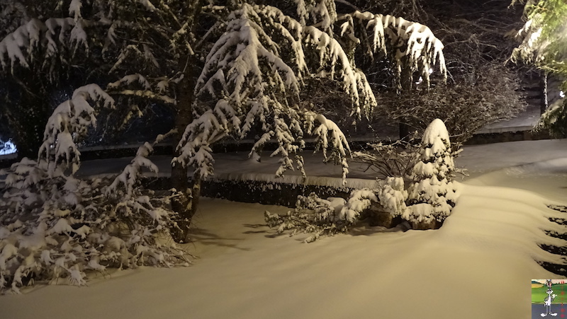 Les 4 Saisons de "Mon Jura" - Page 15 2019-01-09_neige_02