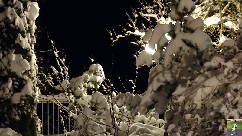 Les 4 Saisons de "Mon Jura" - Page 15 2019-01-09_neige_07