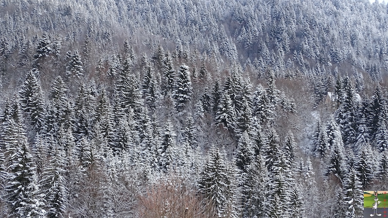 Les 4 Saisons de "Mon Jura" - Page 15 2019-01-12_meteo_01