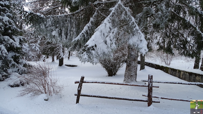 Les 4 Saisons de "Mon Jura" - Page 15 2019-01-12_meteo_02